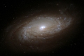 Dusty Beauty - NGC 5806