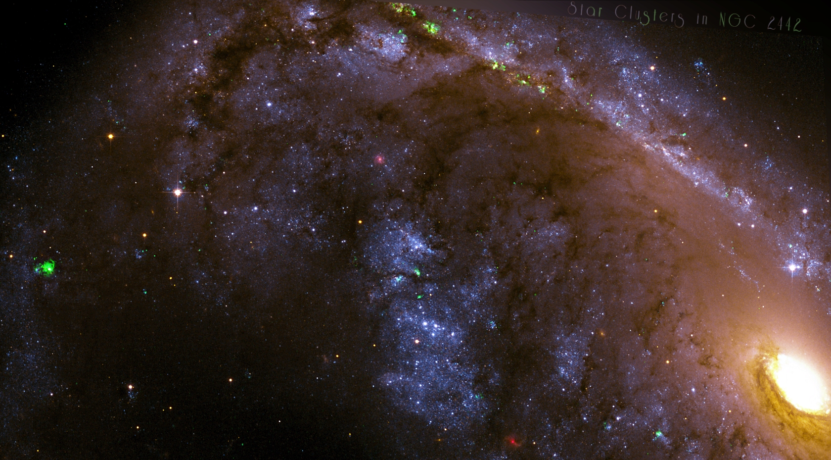 NGC 2442